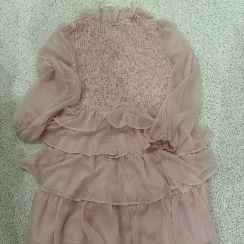 Pink Ruffled Chiffon Dress - Picture 3 of 3